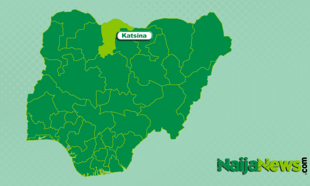 Two Security Officials Killed, Five Injured In Bandit Attack On Jibia LGA